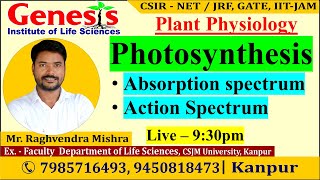 Photosynthesis  Absorption spectrum  Action spectrum  Plant Physiology  CSIR NETJRF  IITJAM [upl. by Otrebliw679]