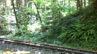 The Oregon Zoo Trains 2012wmv [upl. by Richia]