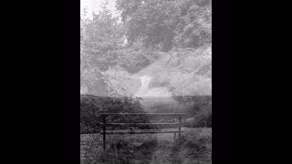 Ilford HP5 in Bellini Hydrofen [upl. by Ardelia328]