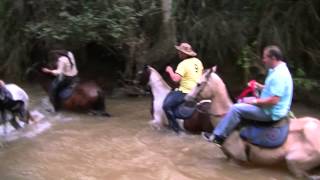 00766 Cabalgata en La Z Jamundi Valle del Cauca Colombia [upl. by Nica]