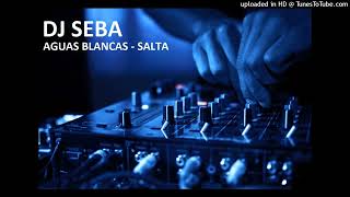 ALTO MIX MARZO 2024  DJ SEBA [upl. by Holton]