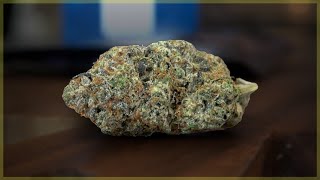 Octagon Kush Marijuana Monday [upl. by Olra]