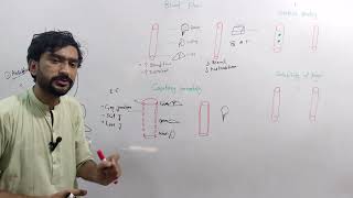 Drugs distribution pharmacokinetics lec 2 Medexplora zawaryousafzai [upl. by Hnoj]