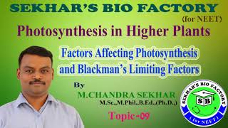 Factors affecting Photosynthesis and Blackmans Limiting Factors for NEET II by Sekhars Bio Factory [upl. by Hotze]