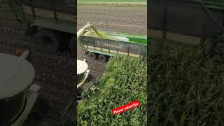 Efficient silage work with the CRONI silage machine—boosting productivity in agriculture [upl. by Suoirrad333]