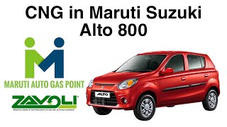 CNG In Maruti Suzuki Alto 800  ZAVOLI CNG kit installation in Alto 800  Maruti Auto Gas Point [upl. by Boot315]