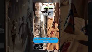 taif ke safar ka waqia trending reels youtubeshorts viralvideo deenkibatmomintak [upl. by Dionisio13]