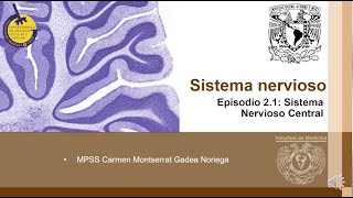 T2C11E1 Sistema Nervioso Central [upl. by Longawa]