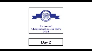 Richmond Championship Dog Show 24 Day 2 Terrier amp Gundogs Groups [upl. by Cunningham915]