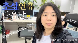 Vlog A day after Korean Thanksgiving Day l 추석연휴 다음날 [upl. by Akram]