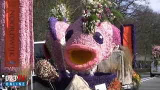 Bloemencorso 2013 [upl. by Corty878]