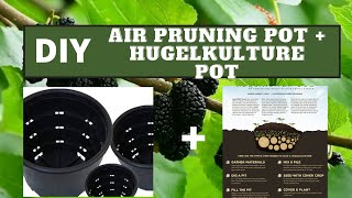 Planting Mulberry  DIY Air Pruning Pot  Hugelkulture [upl. by Hesther]