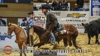 NCHA Open Futurity Finals Highlights 2020 [upl. by Feola707]