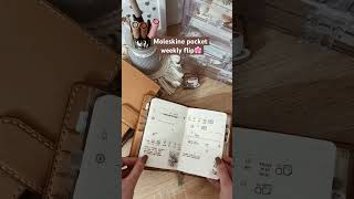 Moleskine pocket weekly flip🤍 planner plannercommunity plannersetup planning planwithme [upl. by Naitsirhk]