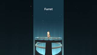 Evolve Sentret To Furret pokemon pokemongo [upl. by Sorgalim798]