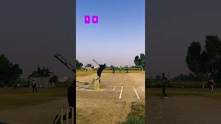 Sialkot stallions vs Lahore badshah 15 ov match part 5 cricket trending tiktok shortstrending [upl. by Branden]