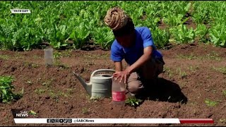 KZN  Innovative ways to sustain crops [upl. by Nauqet27]