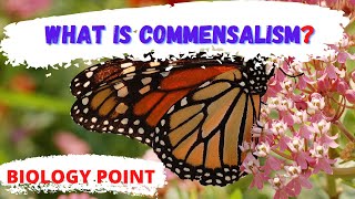 what is commensalism in biology  Commensalism  commensalism meaning  commensalism definition [upl. by Haven]