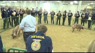 About FFA Career Development Events  National FFA Convention amp Expo [upl. by Galitea924]