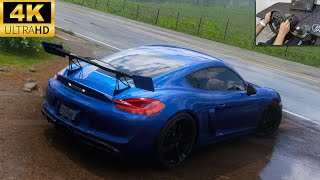 PORSCHE CAYMAN GT4 2016  Forza Horizon 5  Steering Wheel Gameplay [upl. by Suzan]