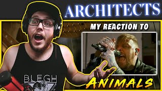 Architects  Animals Orchestral Version  Live at Abbey Road  REACTION  REVIEW [upl. by Kreager]