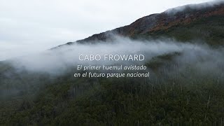 Por primera vez avistamos un huemul en Cabo Froward [upl. by Aylatan]