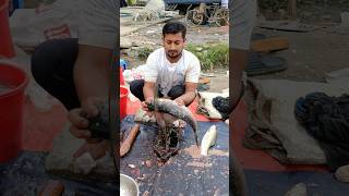 amazing Rui fish cutting skill speedcutting fishcutting fish [upl. by Ecire]