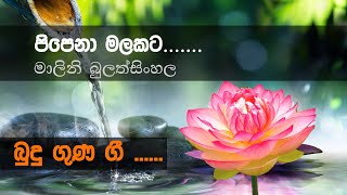 Pipena Malakata පිපෙනා මලකට Malini Bulathsinghala  Budu Guna Gee බුදුගුණ ගී [upl. by Linnette]