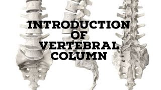 Vertebral column introduction [upl. by Simetra]