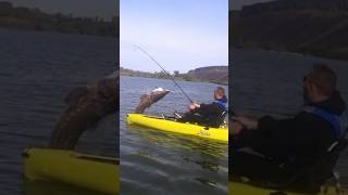 “You’re gonna need a bigger boat” Jaws bigfish fishing fish kayakfishing idaho outdoors [upl. by Mulloy]