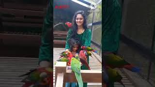 Giniye Giniye kannada kids song trending cutebaby cute parrot parrotfeeding fununlimited [upl. by Grantham75]