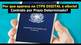 Entenda a diferença entre contrato temporário e por prazo determinado [upl. by Templas226]