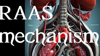 What is RAAS mechanismExplain RAAS mechanismphysiology RAAS mechanismRAAS mechanismraas [upl. by Ahola]