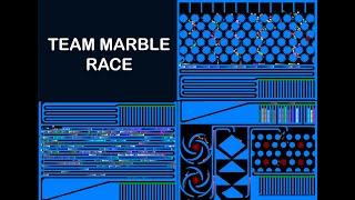 Team Marble Race in Algodoo [upl. by Deming]