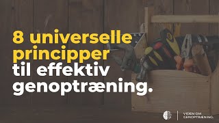 8 universelle principper til effektiv genoptræning Strategier  Smerter under træning  Fremgang [upl. by Hillel843]