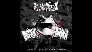 Phyllomedusa  Destroy Destrucción Humana Full Album [upl. by Aitram]