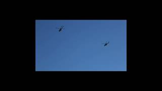 Westland Lynx MK95 doing Spiral ascent westlandlynx portuguesenavy subscribe OeirasAirShow [upl. by Mobley]