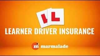 Marmalade Learner Driver Insurance [upl. by Lazarus]