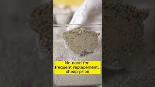 Perfect Bentonite Cat Litter for MultiCat Households petproduct cat catlitter cathouse [upl. by Freemon]