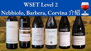 【廣東話】意大利 Nebbiolo Barbera Corvina 的特性及著名產區｜WSET Level 2 [upl. by Earehc]