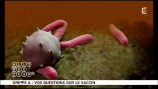 Le syndrome de GuillainBarré pour les nuls  vaccination  grippe A  H1N [upl. by Piscatelli]