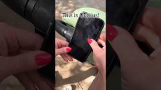 Use a rubber band or hair tie to make a DIY phone holder on your stroller momlife travel diy [upl. by Chariot]