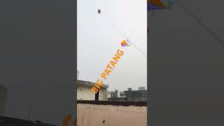 Big Gudda Flight🪁 🛫viralvideo kite kiteflying patang patangbaazi [upl. by Hoskinson]