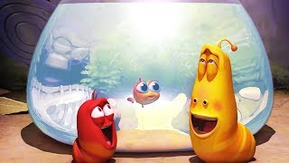 LARVA  AQUARIUM  Larva 2017  Cartoons  Comics  Larva Cartoon  LARVA Official [upl. by Yarod827]