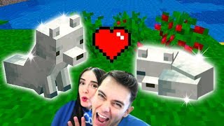 VULPIȚE ARGINTII ÎN MINECRAFT 114 [upl. by Jew]