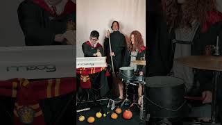 Harry Potter Techno [upl. by Chamkis]