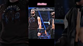 Bloodline Vs The Shield 😮 shorts foryou trending fyp fypシ゚viral [upl. by Nita407]