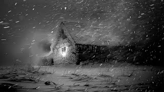 Heavy Blizzard at a Wooden Cabin  Heal Your Soul for a Deep Sleep with Winter snowstorm Sounds [upl. by Aundrea]