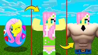 Evolution Of Fluttershy In Minecraft My Little Pony [upl. by Franza525]