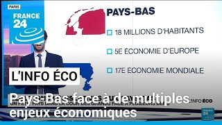 PaysBas  un petit pays dans la cour des grands face à de multiples enjeux économiques [upl. by Krissie]